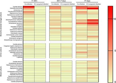 Clinical features of omicron SARS-CoV-2 variants infection associated with co-infection and ICU-acquired infection in ICU patients